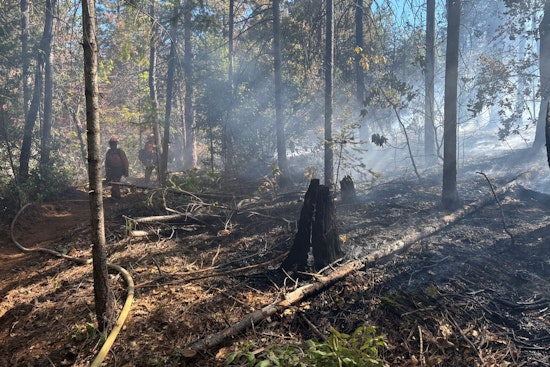 CAL FIRE AEU and Partners Quell Vegetation Fire in El Dorado County, Cause Under Investigation