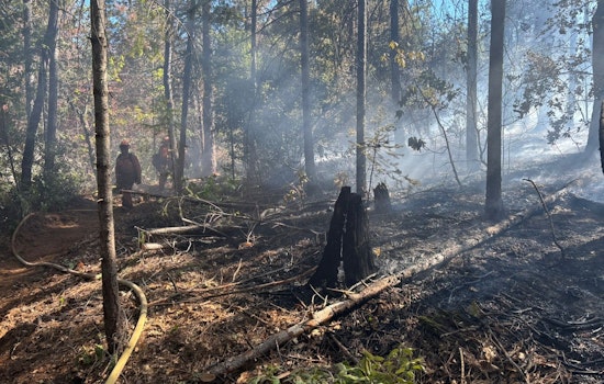 CAL FIRE AEU and Partners Quell Vegetation Fire in El Dorado County, Cause Under Investigation