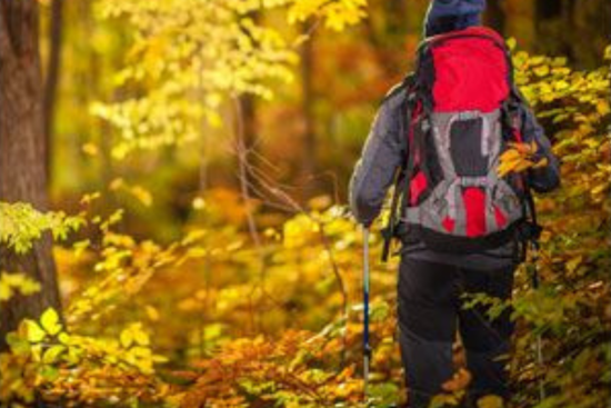 California Woman Rescued in Michigan's Otsego County Forest Following YouTube Survival Challenge