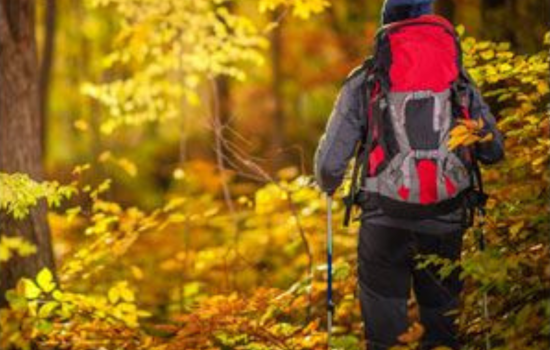 California Woman Rescued in Michigan's Otsego County Forest Following YouTube Survival Challenge