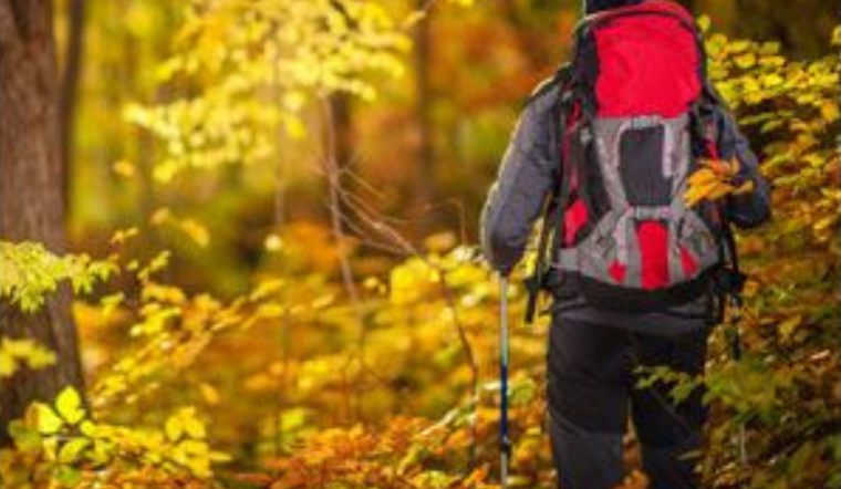 California Woman Rescued in Michigan's Otsego County Forest Following YouTube Survival Challenge