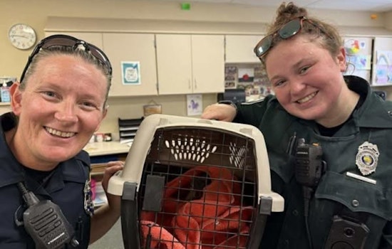 Carmel Police Showcase Community Spirit with Squirrel Rescue Operation at Local School