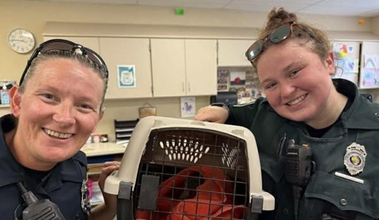 Carmel Police Showcase Community Spirit with Squirrel Rescue Operation at Local School