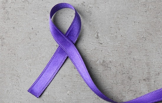 Charlotte Mobilizes Against Domestic Violence with October Initiatives and Empowerment Walk in Mecklenburg County