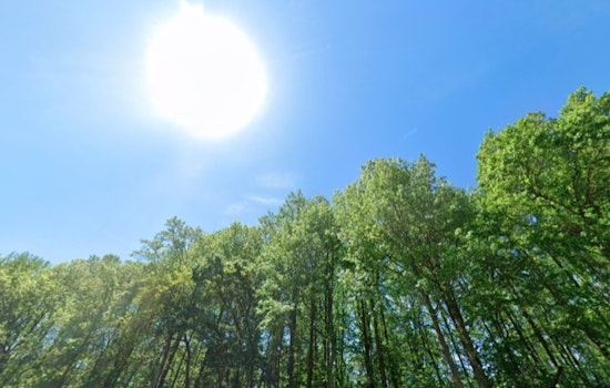 Charlotte Residents to Relish in Pleasant Weather with Sunny Days and Mild Nights Ahead