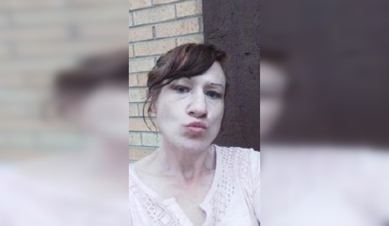 Chicago Authorities Seek Help in Search for Missing Woman Elizabeth Parks; May Need Medical Attention