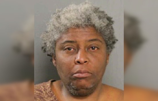 Chicago Police Issue Missing Person Alert for 54-Year-Old Latina Ervin Last Seen on E. 96th Street