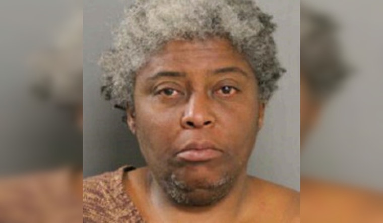 Chicago Police Issue Missing Person Alert for 54-Year-Old Latina Ervin Last Seen on E. 96th Street