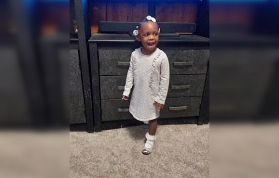 Chicago Police Seek Public's Help in Search for Missing 3-Year-Old Amiirah Gholston