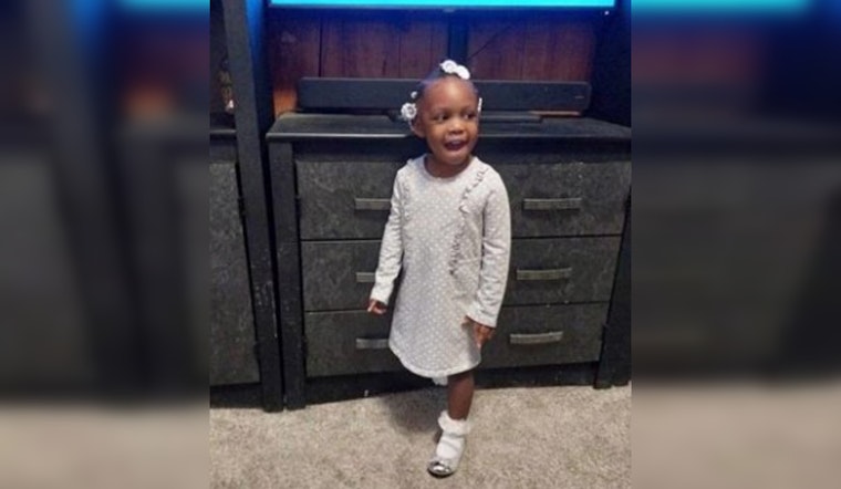 Chicago Police Seek Public's Help in Search for Missing 3-Year-Old Amiirah Gholston