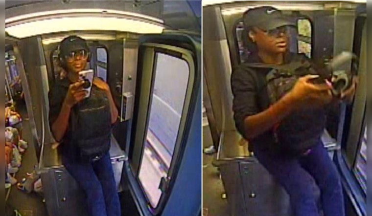 Chicago Police Seek Public's Help to Identify Suspect in Aggravated Battery Incident in 17th District