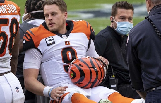Cincinnati Bengals Sign QBs Sean Clifford and Mike White Following Joe Burrow's Injury Setback
