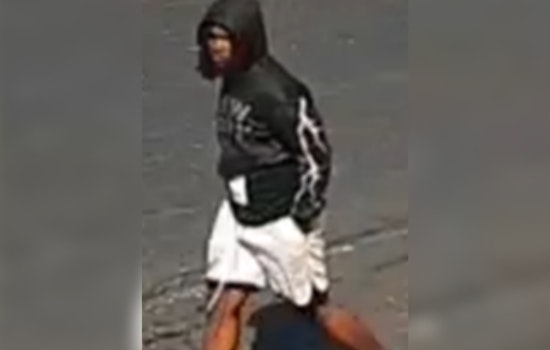 Cincinnati Police Seek Public Assistance in Overlook Avenue Criminal Damaging Case
