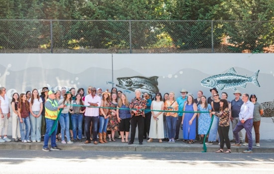 Clark County Transforms Vandalized Wall into Vibrant Environmental Mural with Over 50 Volunteer Artists in Salmon Creek