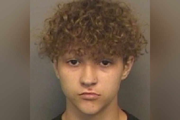 Clearwater Police Seek Help to Locate Missing Teenager Brenton Pulido, Possibly in Plant City Area