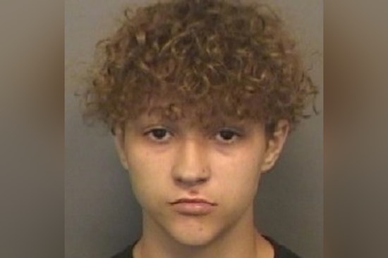 Clearwater Police Seek Help to Locate Missing Teenager Brenton Pulido, Possibly in Plant City Area