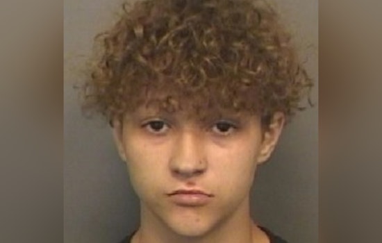 Clearwater Police Seek Help to Locate Missing Teenager Brenton Pulido, Possibly in Plant City Area