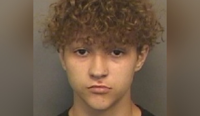 Clearwater Police Seek Help to Locate Missing Teenager Brenton Pulido, Possibly in Plant City Area