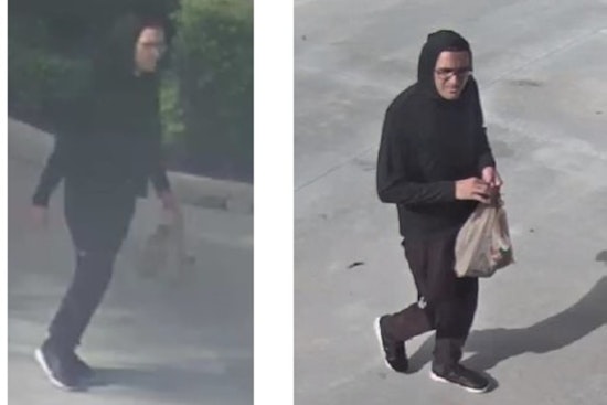Coconut Creek Police Seek Public's Help in Identifying Suspect in Fire Station Vandalism Case