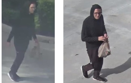 Coconut Creek Police Seek Public's Help in Identifying Suspect in Fire Station Vandalism Case