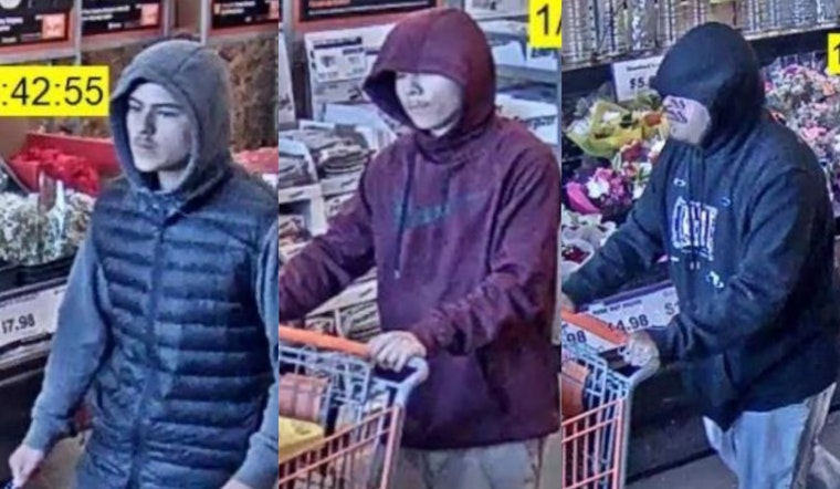 Colma Police Seek Public Help to Identify Suspects in Home Depot Theft Spree