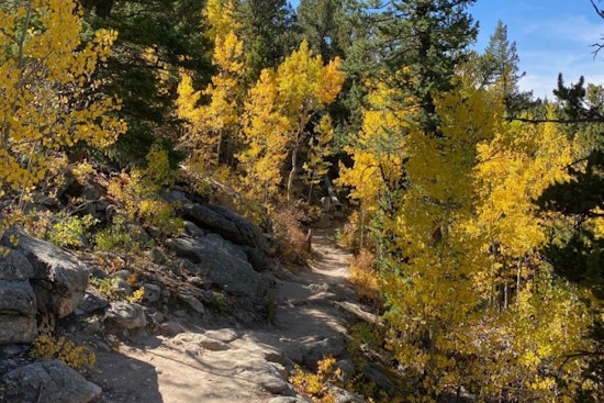 Colorado Parks and Wildlife Invites Visitors for 'Leaf-Peeping' Season Amid Crowding Concerns