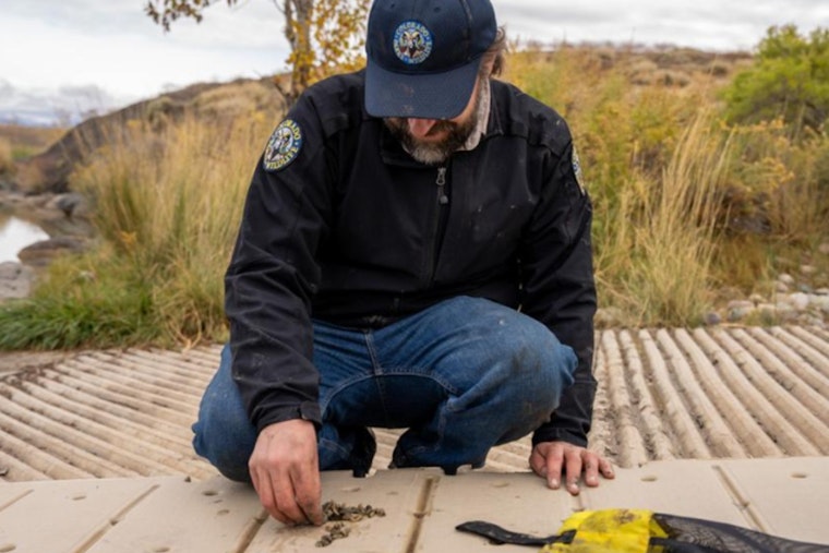 Colorado Parks and Wildlife's Robert Walters and Jennifer Murray Honored for Excellence in Combating Aquatic Invasive Species