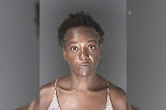 Colorado Springs Authorities Conduct Cleanup of Illegal Homeless Camps, Woman Arrested for Identity Theft