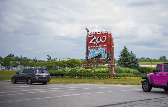 Columbus Zoo Honors Legacy with Newborn Elephant Named After Local Philanthropist Rita Jean Wolfe