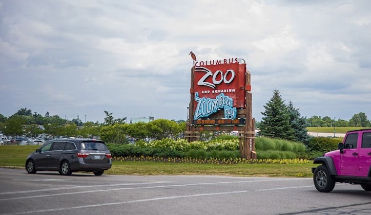 Columbus Zoo Honors Legacy with Newborn Elephant Named After Local Philanthropist Rita Jean Wolfe