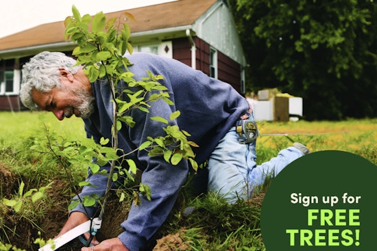 Concord Residents to Receive 300 Free Trees in City's Seventh Annual Energy-Saving Arbor Day Initiative