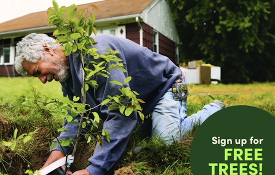 Concord Residents to Receive 300 Free Trees in City's Seventh Annual Energy-Saving Arbor Day Initiative