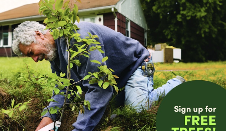 Concord Residents to Receive 300 Free Trees in City's Seventh Annual Energy-Saving Arbor Day Initiative