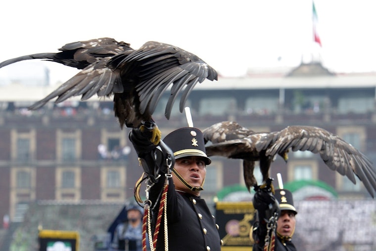 Cook County Gears Up for Safe Celebrations, Tips for Local Parades, Arts Festival, and Upcoming Lady Gaga Concerts