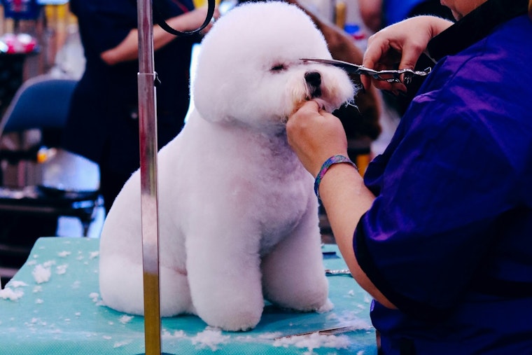 Coon Rapids Pet Fair Set to Delight Families and Furry Companions on September 20