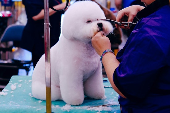 Coon Rapids Pet Fair Set to Delight Families and Furry Companions on September 20