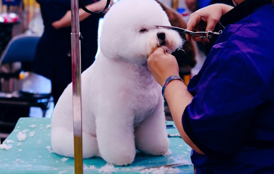 Coon Rapids Pet Fair Set to Delight Families and Furry Companions on September 20