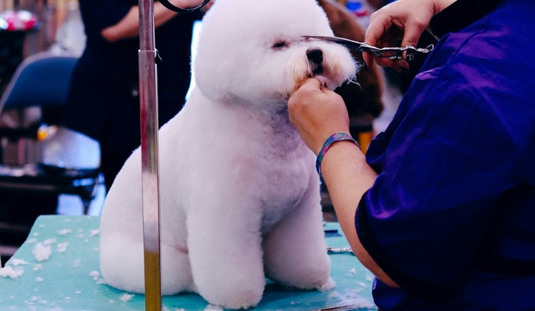 Coon Rapids Pet Fair Set to Delight Families and Furry Companions on September 20