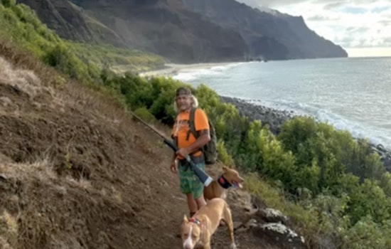 Coordinated Hunt Successfully Reduces Feral Animal Population in Hawaii's Kalalau Valley