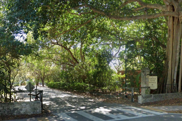 Coral Gables' Fairchild Tropical Botanic Garden to Host 'Taste of the Caribbean' Festival This Weekend