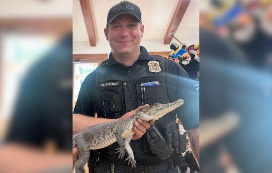 Crocodile Surprise: Endangered Reptile Discovered Relaxing in Michigan Front Yard