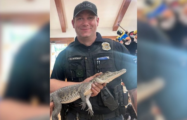 Crocodile Surprise: Endangered Reptile Discovered Relaxing in Michigan Front Yard
