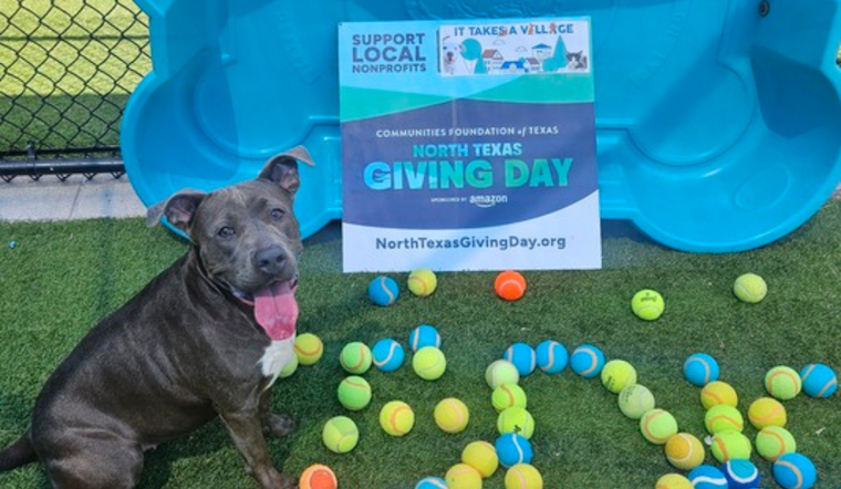 Dallas Animal Services Aims to Raise $150,000 on North Texas Giving Day for Local Pets