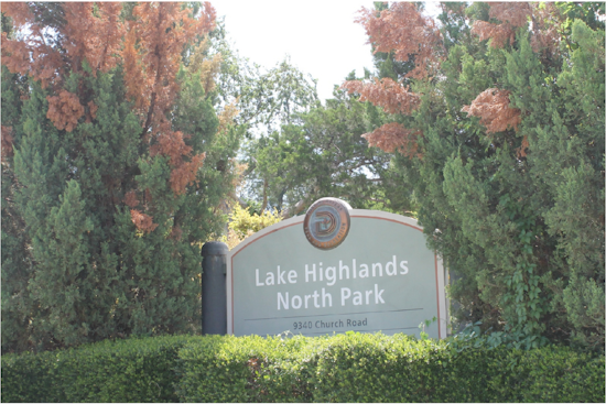 Dallas Seeks Community Feedback on Proposed Pickleball Courts at Lake Highlands North Park