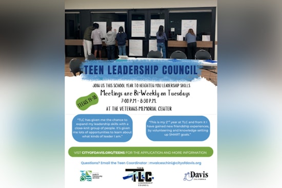 Davis Teen Leadership Council Seeks Young Visionaries for Civic Engagement Program