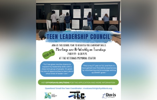 Davis Teen Leadership Council Seeks Young Visionaries for Civic Engagement Program