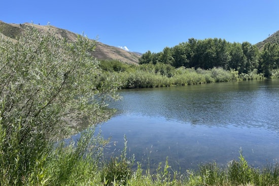 Deer Lake in Southeast Washington to Close Early for Infrastructure Repairs, Offers Anglers Alternatives
