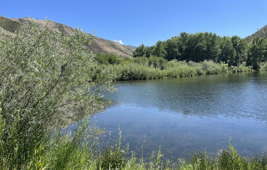 Deer Lake in Southeast Washington to Close Early for Infrastructure Repairs, Offers Anglers Alternatives