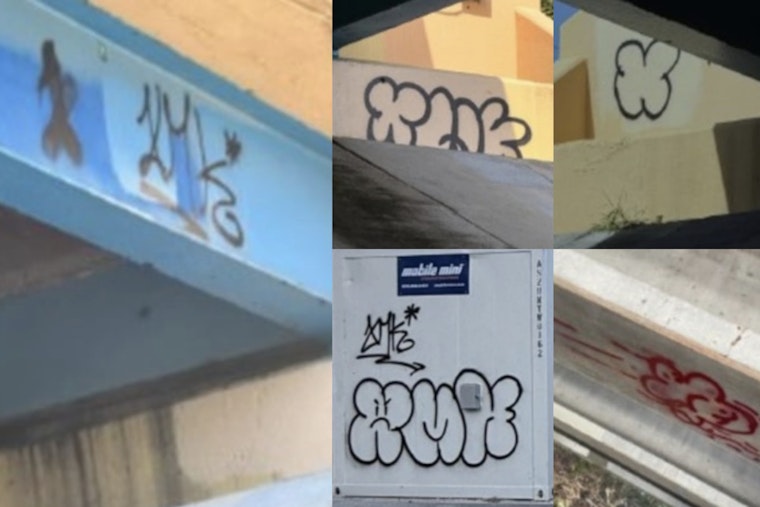 Deerfield Beach Police Seek Public Help to Catch Vandals, Offer $5,000 Reward