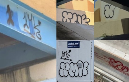 Deerfield Beach Police Seek Public Help to Catch Vandals, Offer $5,000 Reward